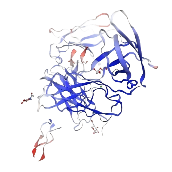 Collagen I