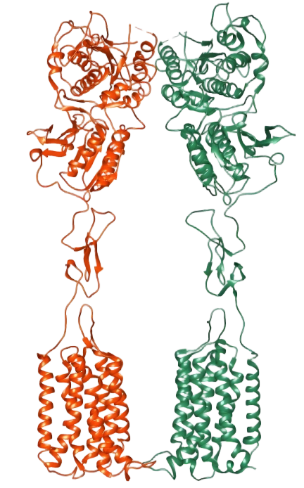 GRM1