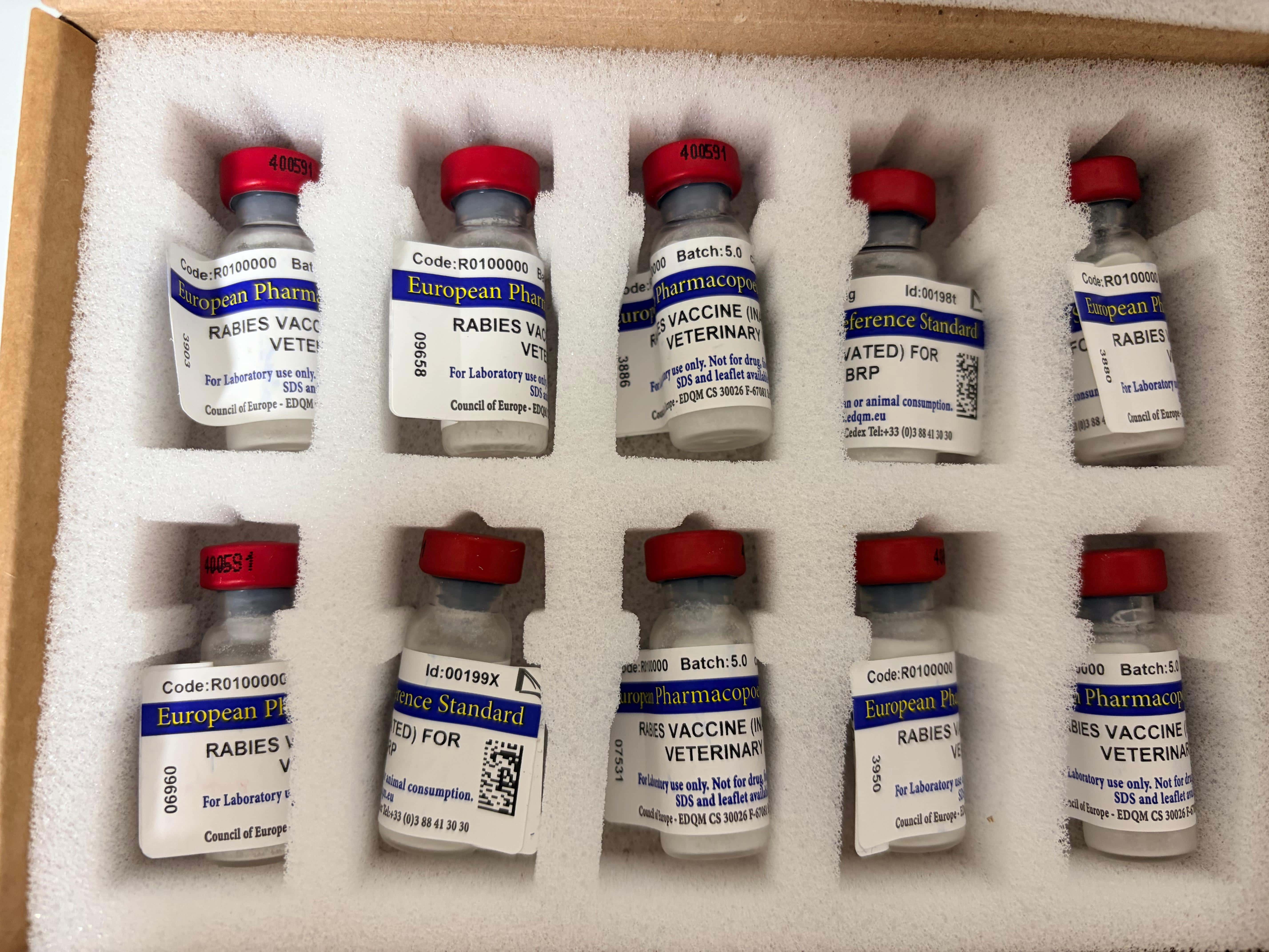 Rabies Vaccine (Inactivated) for Veterinary Use BRP