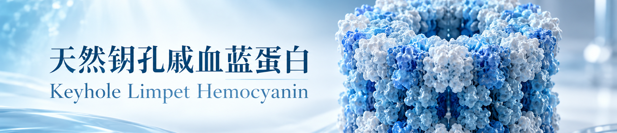天然钥孔戚血蓝蛋白